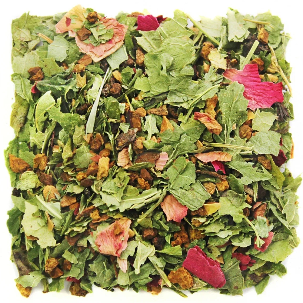 Pack 4 Chaga-Tea with Currant Leaf & Apple 