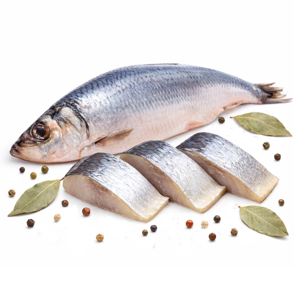 Light Salt Atlantic Herring – Soft Baltic Cut, Haifa, 300–330g