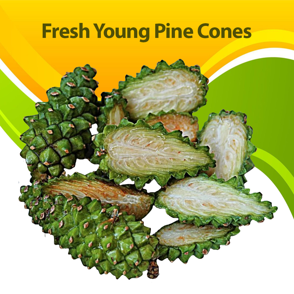 Candied Pine Cones-Kebabs, Taiga Cache, 25g/ 0.88oz