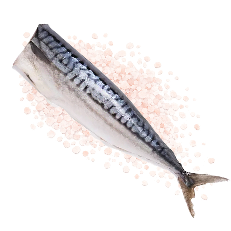 Salted Whole Mackerel, Headless & Gutted, Vacuum Pack, Dauparu Zuvis, 370g / 13.05 oz
