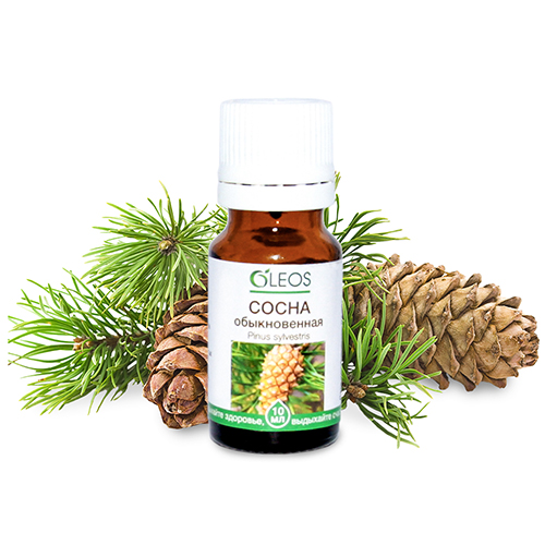 Scots Pine (Pinus Sylvestris)100% Natural  Essential Oil, 0.3 oz / 10 Ml