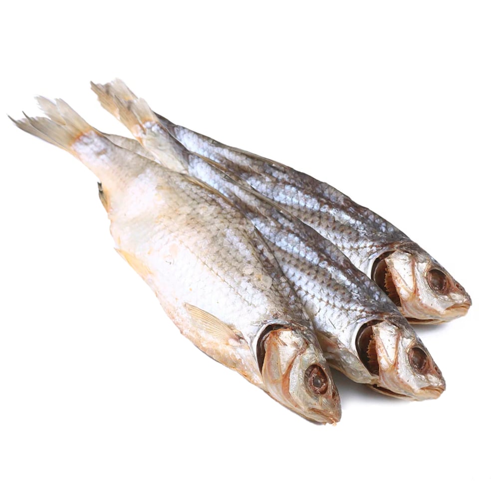 Dried Roach Vobla (PRE-PK), North Fish USA, 90g/ 3.17oz