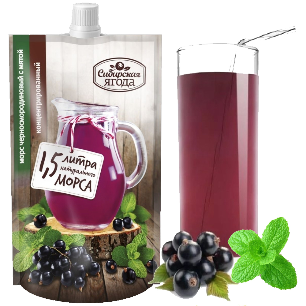 Concentrated Blackcurrant Mors | Juice with Mint for 1.5 Liters of Natural Drink, Siberian Berry, 200ml/ 6.76 fl oz