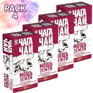Pack 4 Chaga Tea Cocoa Beans & Cinnamon, Power of the Earth, 20 tea bags x 4